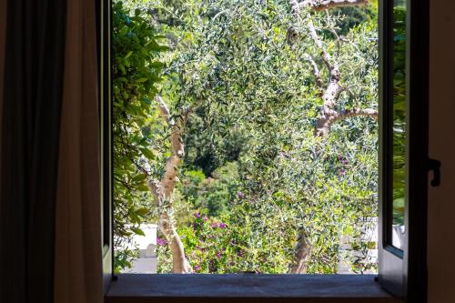 an open window with a view of a tree at Shanti Home in Vieste