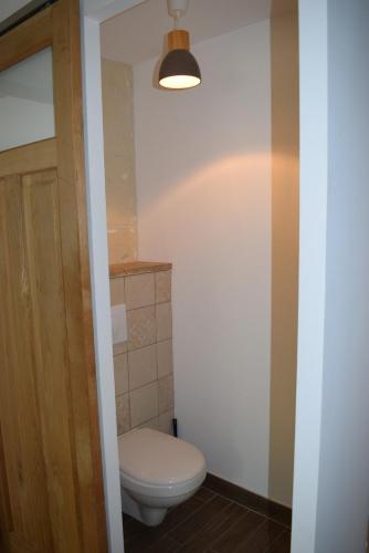 a bathroom with a toilet and a light at Zélie Gîte in Ambillou-Château