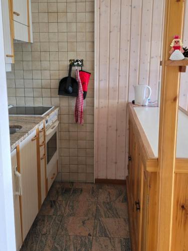 a small kitchen with a sink and a stove at Charmant petit appartement in Ovronnaz