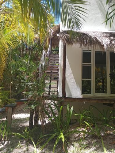 Jardin de l'établissement Casa Zaba