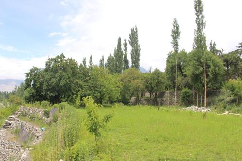 a field of grass with trees in the background at ReeChan Resort Skardu in Skardu