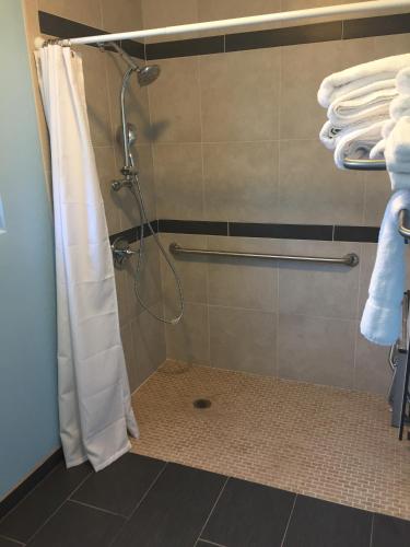 a shower with a shower curtain in a bathroom at Dolphin Cove Motel in Pismo Beach