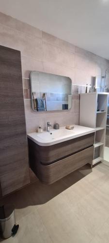 une salle de bain avec un lavabo et un miroir dans l'établissement Appartement ensoleillé Perols, à Pérols
