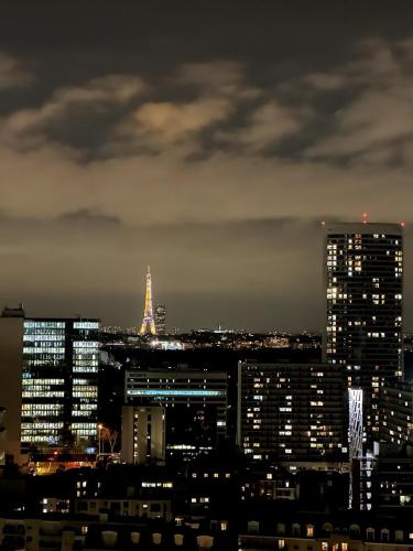 Apartement view of all of Paris