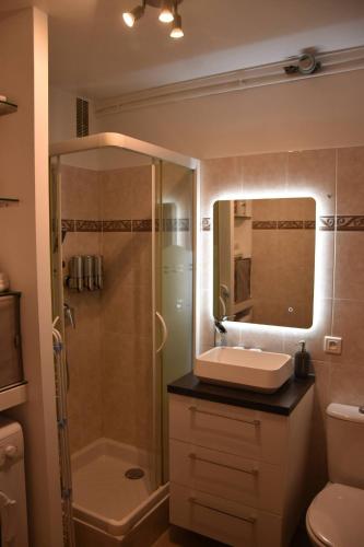 une salle de bain avec une douche, un lavabo et un miroir dans l'établissement Studio de Julien, à Châtenay-Malabry