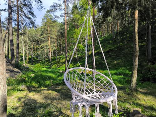 Zahrada ubytování Vila POGLED Wellness i spa