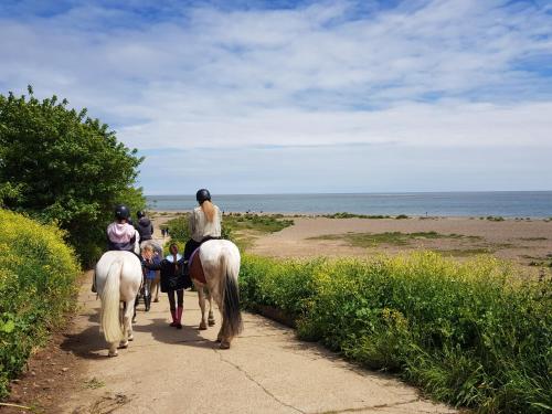three people riding horses down a path near the beach at 5 Sea View Walk - unique beachfront location - pets welcome - free parking in Pakefield