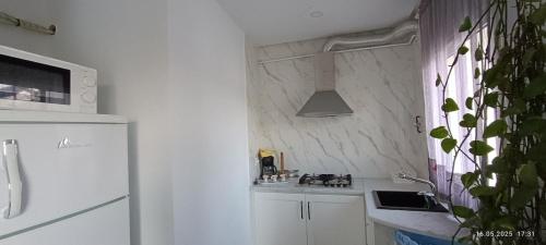 TIM Haute standing appartment S2, center Monastirにあるキッチンまたは簡易キッチン