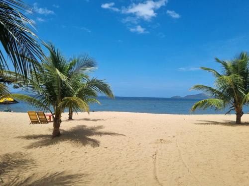 a beach with two palm trees and a bench at Casa em Mangaratiba RJ - 40 metros da Praia in Mangaratiba