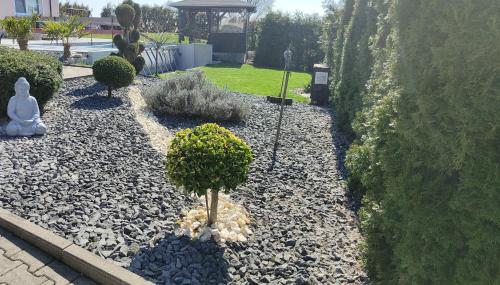 a garden with a small tree in the gravel at Mariolas Tinyhouse in Markt Nordheim