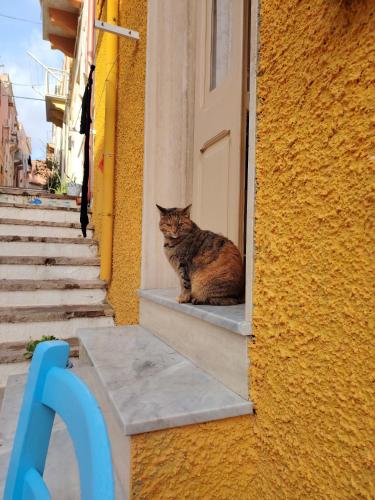 a cat sitting on the window sill of a door at Casa Fiorenza - Da e Nònne in Carloforte