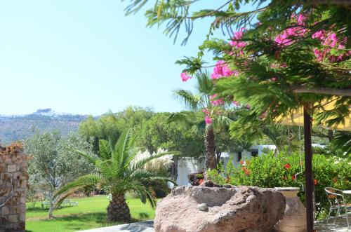 Gallery image of Asteri Hotel in Skala