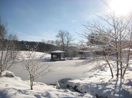 a gazebo in a snow covered field with trees at Haus an der Therme in Bad Endorf
