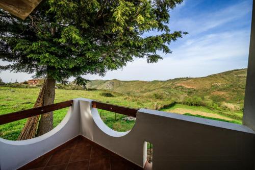 a staircase with a view of a tree and a field at Mountain Retreat With View Of Aeolian Islands in San Marco dʼAlunzio