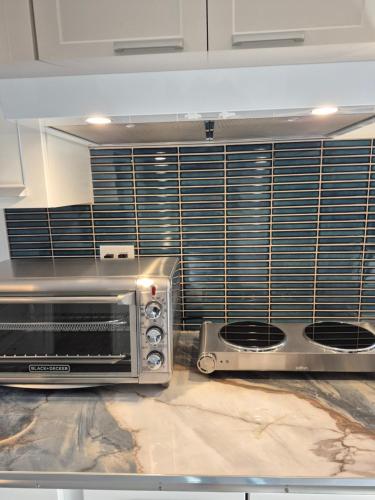 a kitchen with a toaster oven and a microwave at Séjour Flèche du fjord vue Saguenay Mont Valin in Saint-Fulgence