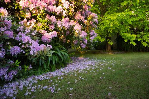 a garden with pink and purple flowers in the grass at Mount Stuart House in Daylesford