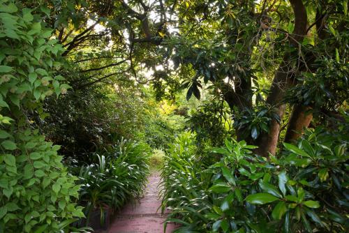 a path through a garden with trees and plants at Mount Stuart House in Daylesford