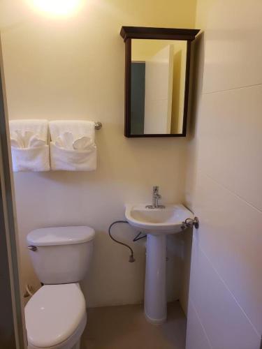 a bathroom with a toilet and a sink and a mirror at Chateau Bellview in Falmouth