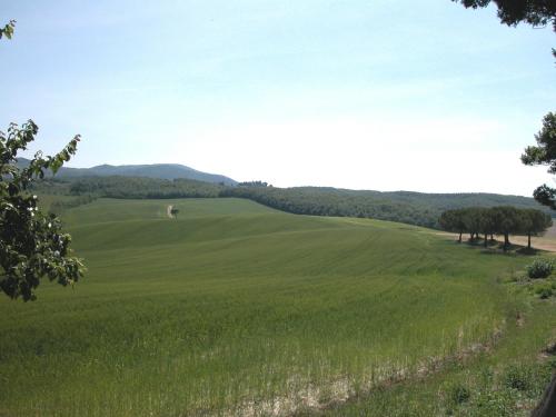 a green field with trees in the distance at Apartment in Guasticce with shared pool in Guasticce