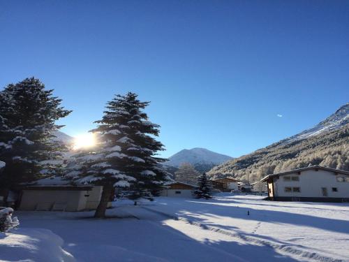 a snow covered yard with trees and a mountain at Chalet Stadel Alpine Comfort in Saas-Grund