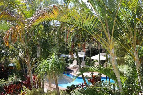 a resort with a pool with palm trees and umbrellas at Smugglers On The Beach in Coffs Harbour