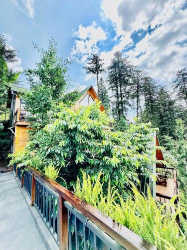 a fence with plants on the side of a house at Sapa Pine Hill Eco Lodge in Sa Pa