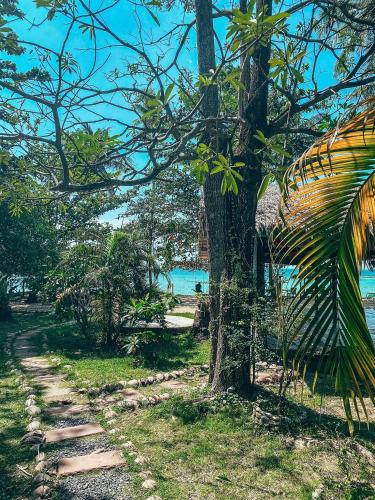 a path next to a tree next to a beach at Samma Karuna Beach & Wellness Resort - Intoxicants free in Haad Chao Phao