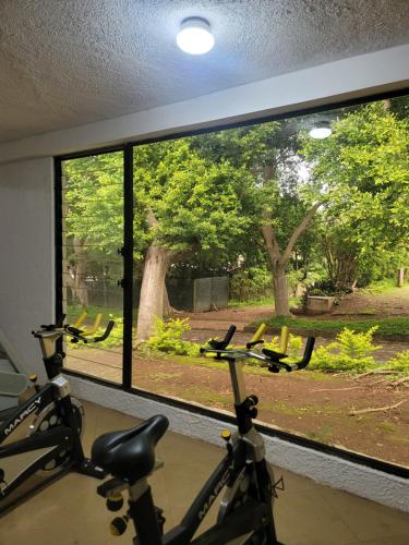 Palestra o centro fitness di Grand Saint Bernard Juayúa