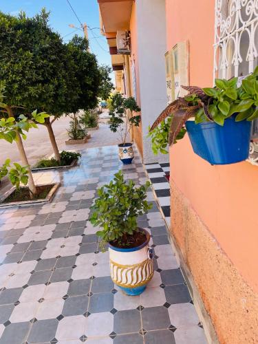 a tiled sidewalk with potted plants on a building at Spacious Apartment with Motorcycle Garage, Free Parking, and Air Conditioning in Er Rachidia