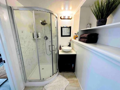 une salle de bain avec douche et lavabo dans l'établissement Charming Backyard Guest House with Koi Pond, à San Leandro