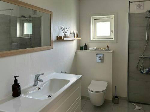 a bathroom with a sink and a toilet and a shower at Spacious Holiday Home In Peaceful North Zealand in Melby