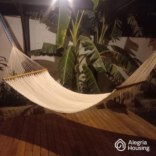 a hammock in a room with plants at 204 Arje Suites Campestre by Alegría Housing in Las Pilas