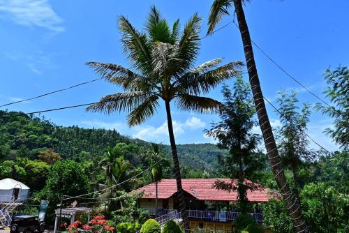 two palm trees in front of a house at Aayana Valley in Chikmagalur