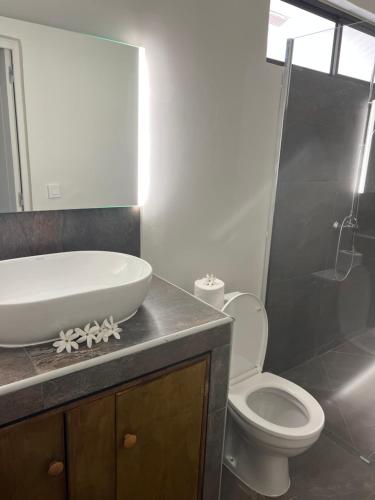 a bathroom with a sink and a toilet and a shower at Bora Bora House Tahi in Bora Bora