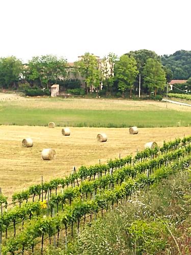 アパートホテルの近くで見られる自然の景観