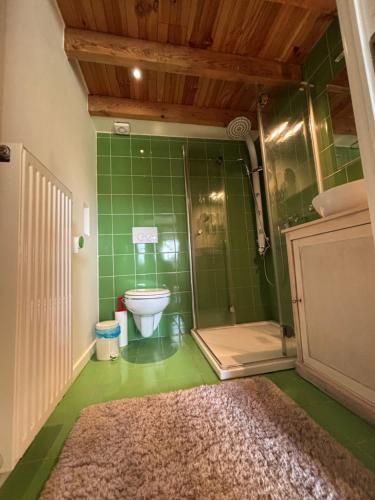 a bathroom with a toilet and a shower with green tiles at Bakhuisje Peer in Peer