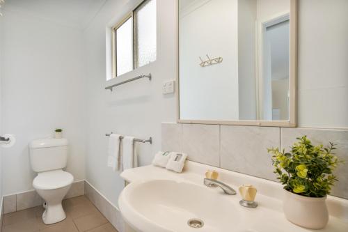 a bathroom with a sink and a toilet and a mirror at Tasman Holiday Parks - Hervey Bay in Hervey Bay