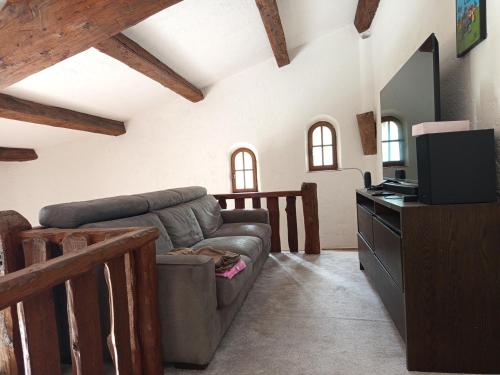 salon z kanapą i telewizorem w obiekcie Villa provençale avec piscine et jardin privé w mieście Saint-Cézaire-sur-Siagne