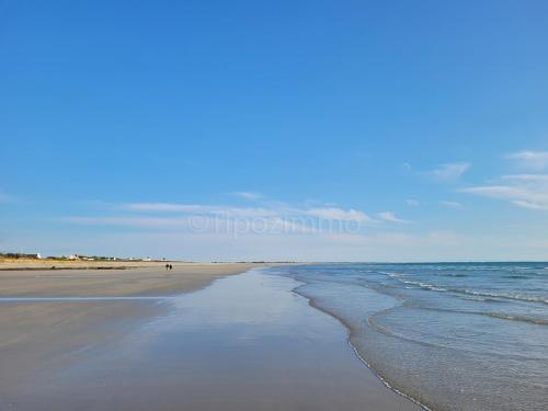 a beach with a person walking on the sand at Tipoz'Immo Ti Marin beach accessrestaurants on foot in Plovan
