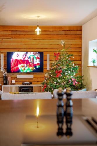 a living room with a christmas tree and a television at La Casa Goudacito in Gouda