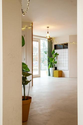 a hallway with potted plants in a house at La Casa Goudacito in Gouda