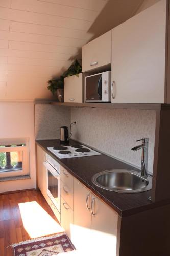 a small kitchen with a sink and a microwave at Apartments VRAZOVA in Sarajevo