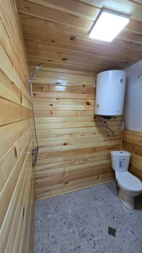 a bathroom with a toilet in a wooden wall at DOSHDOLI-დოშდოლი in Dolasvip'i