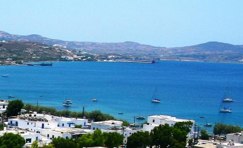 Φυσικό τοπίο κοντά σε αυτό το διαμέρισμα