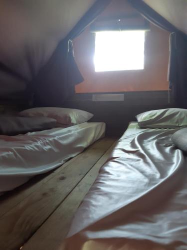 deux lits jumeaux dans une chambre avec fenêtre dans l'établissement Camping Onlycamp Le Petit Port, à Châtel-Censoir