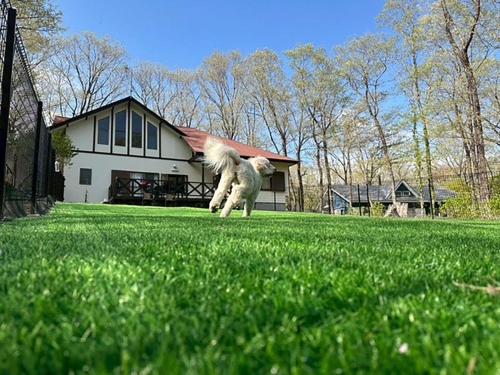 Zahrada ubytování Fun Dog Villa Nasu -ファンドッグ ヴィラ那須 -