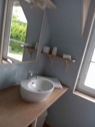 a bathroom with a white sink and a mirror at Le relais du Perche in Les Croix Chemins