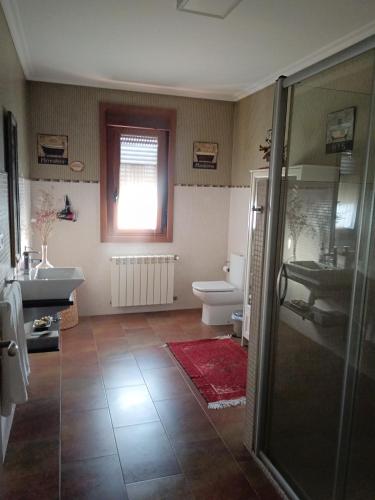 ein Badezimmer mit Dusche, Waschbecken und Toilette in der Unterkunft A Mouta in Amoedo