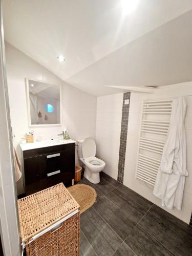 La salle de bains est pourvue de toilettes et d'un lavabo avec miroir. dans l'établissement Appartement cosy Bayonne, à Bayonne