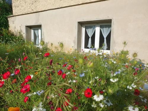 La maison des lavandes